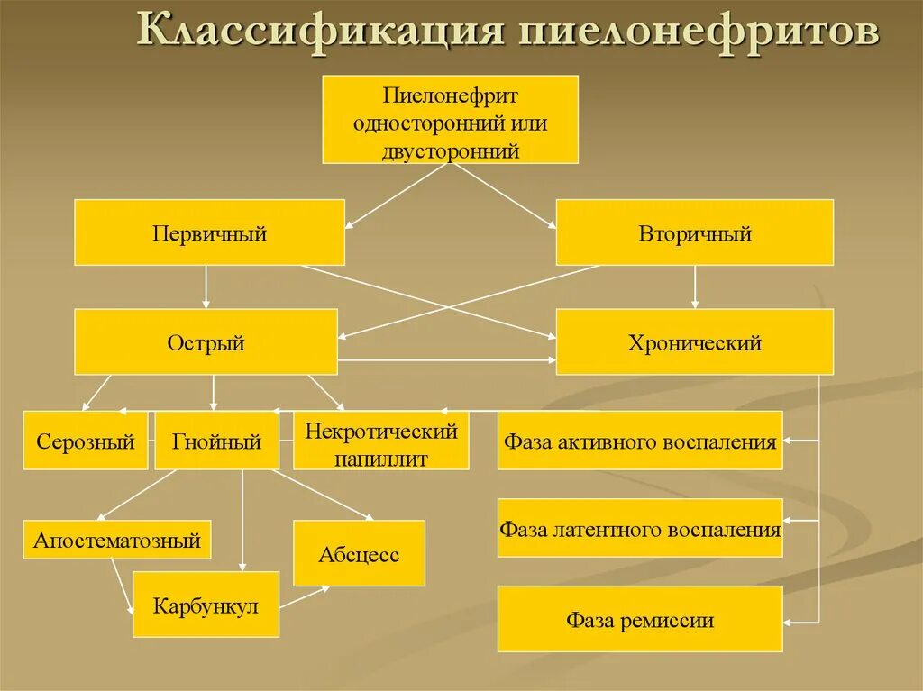 Хронический пиелонефрит классификация. Острый пиелонефрит классификация. Хронический пиелонефрит классификация Лопаткина. Острый и хронический пиелонефрит классификация.