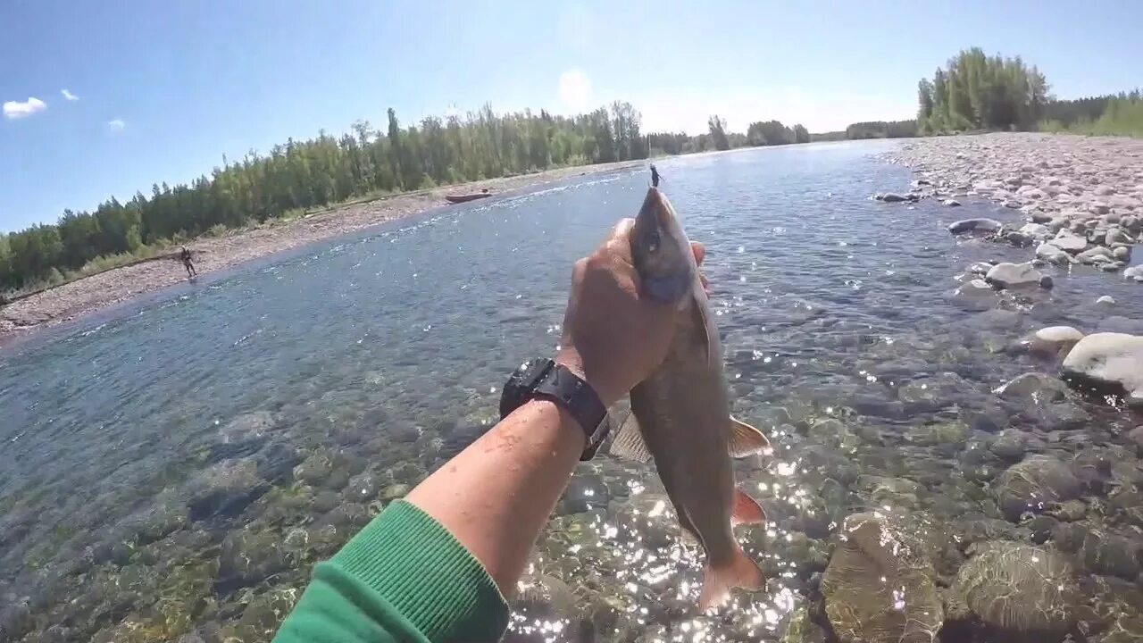 Рыбалка в якутии летом новые видео. Таймень в якутии. Рыбалка в якутии летом новые видео. Рыболовство в якутии. Рыбалка в якутии летом новые видео.