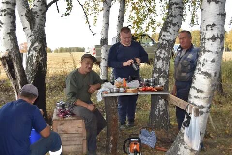 Погода в новой солянке на завтра