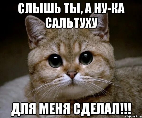 Ну ка быстро давай