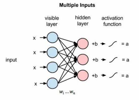 Input visible