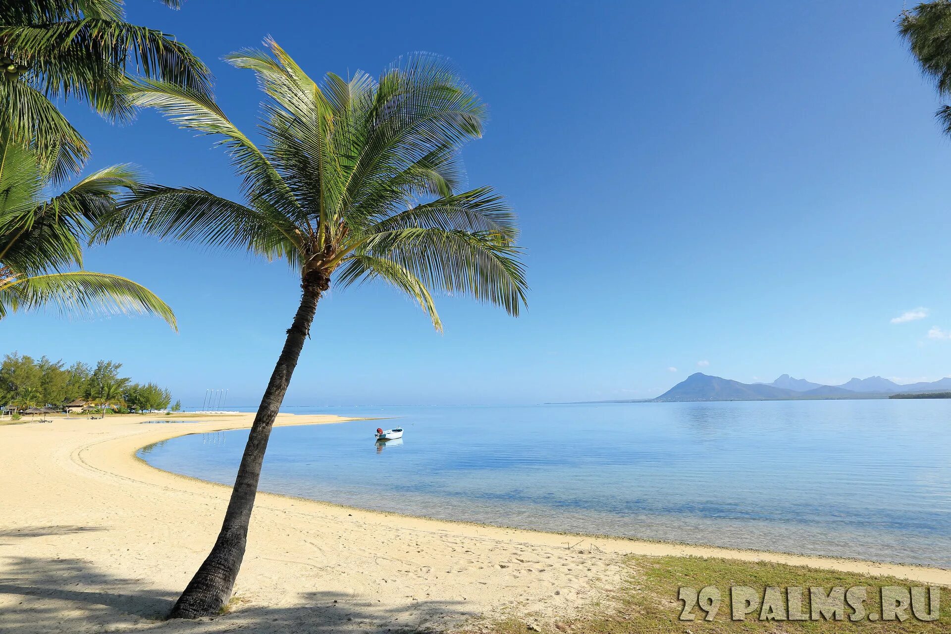 Paradis