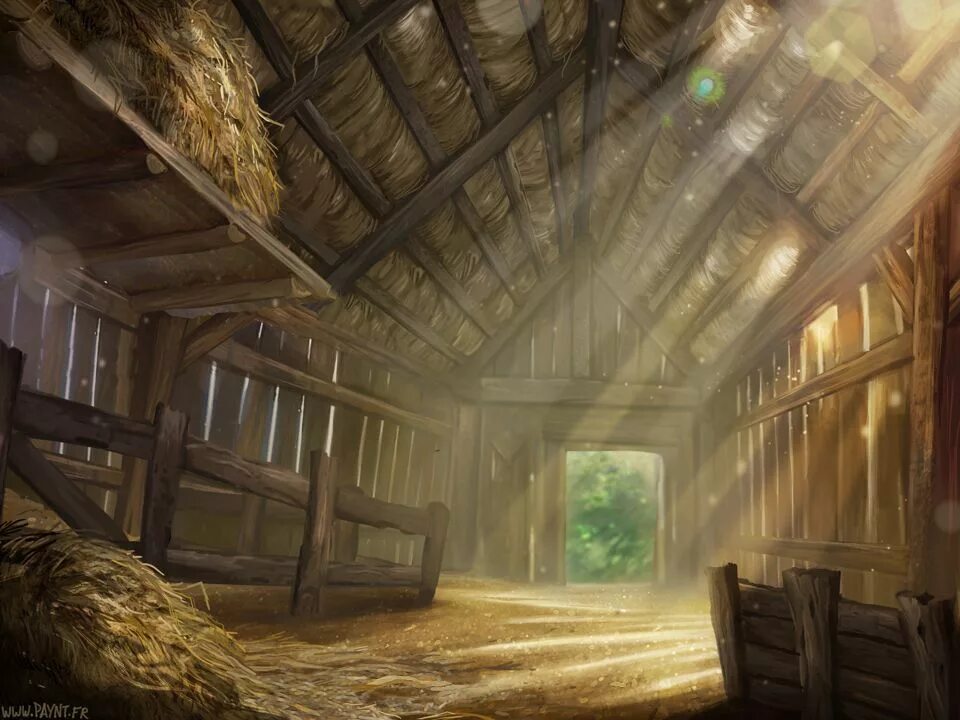 Stable environment