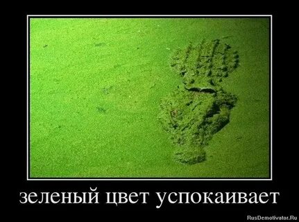 Почему человек зеленеет
