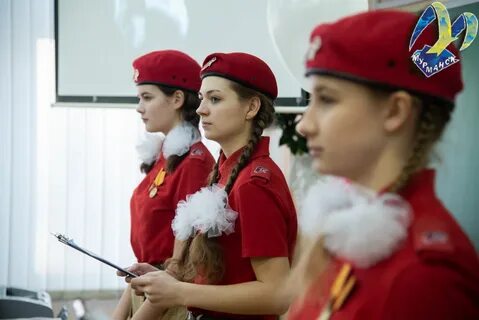 Сайт 31 мурманск