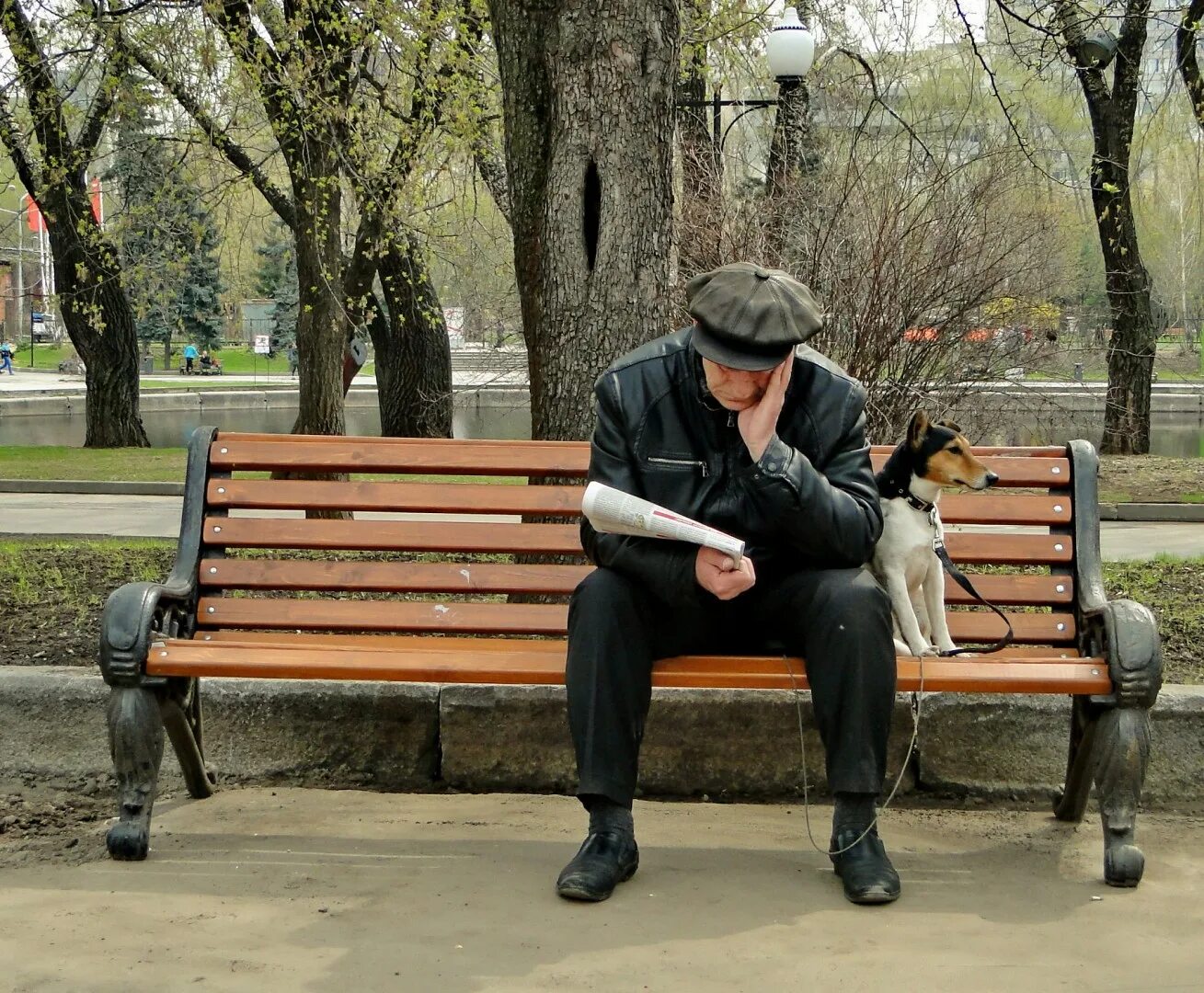 Chebanov на лавочке. Chebanov на лавочке. Люди на скамейке в парке. Chebanov на лавочке. Старик на скамейке в парке.