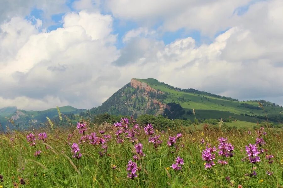Апрель псебай. Гора шапка псебай. горы псебай краснодарский край.
