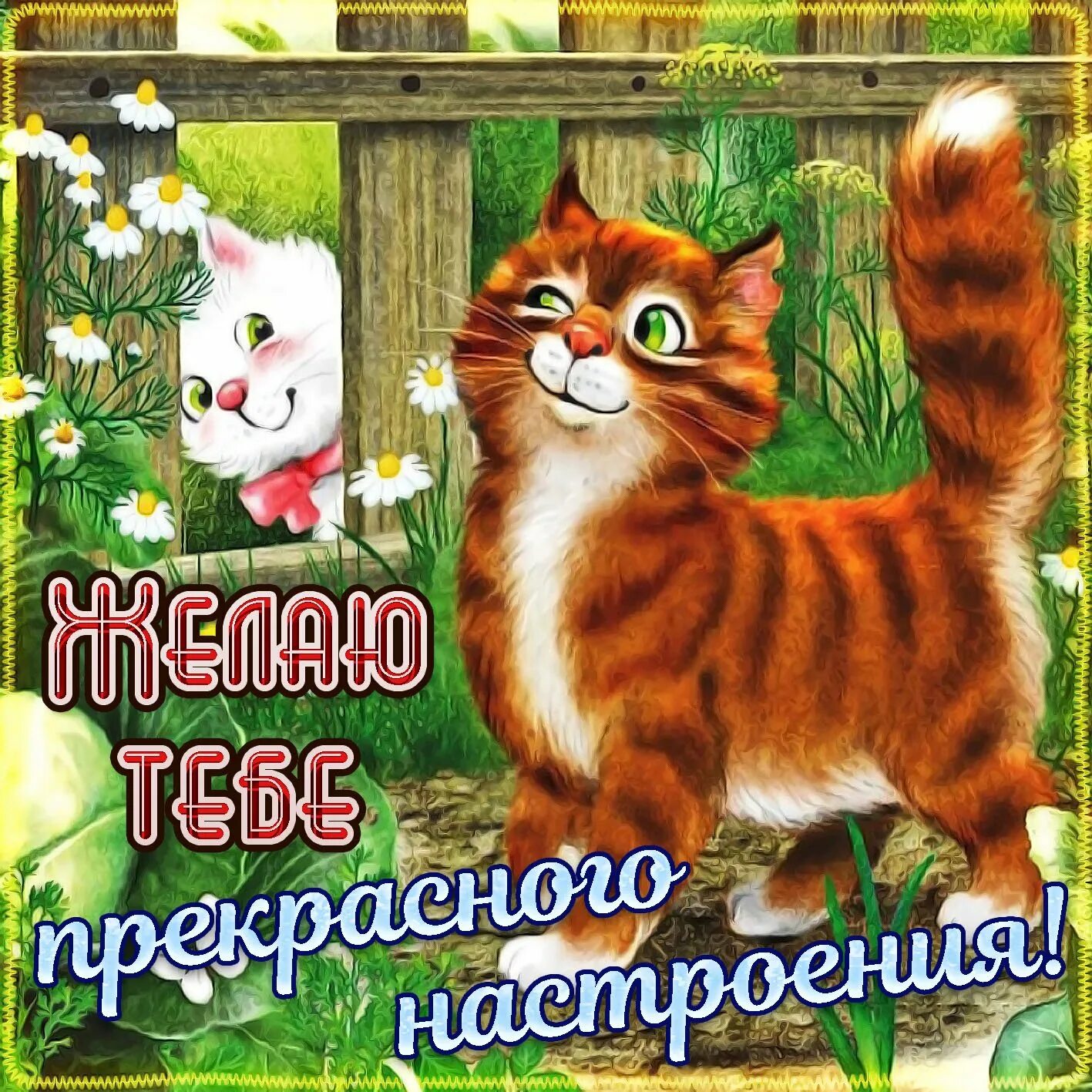 Самого лучшего дня тебе и настроения. Пожелания хорошего настроения. открытка &quot;хорошего настроения&quot;. открытки отличного настроения. прекрасного дня и отличного настроения.