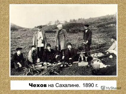Чехов сахалинский