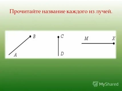 Сколько лучей у 7 звезд