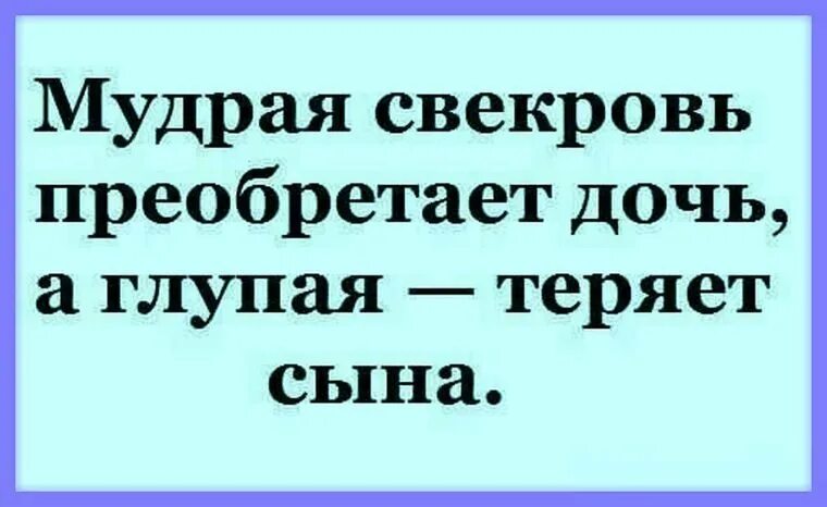 Анекдоты про свекровь и невестку. Утренний анекдот. Статусы про свекровь. Статусы про свекровь и мужа. Высказывания о невестках.