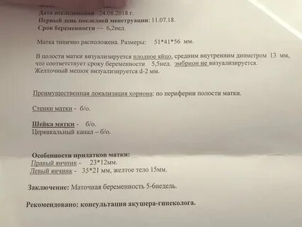 Эмбрион не визуализируется на 5 неделе