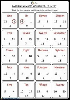 1 20 exercises