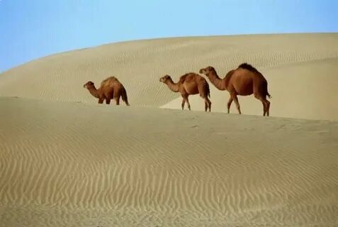 Каракум аккумуляторы