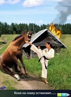 Поднял на скаку