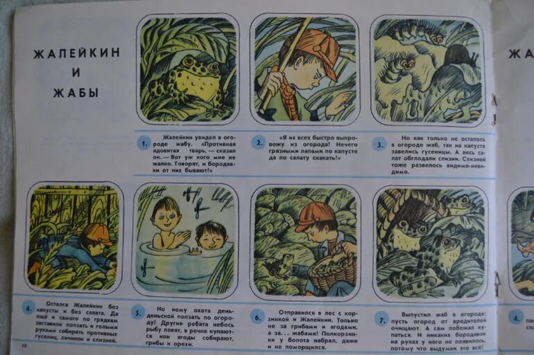 Иллюстрации к рассказу жалейкин и лягушонок. Иллюстрации к рассказу жалейкин и лягушонок. Жалейкин и лягушонок сладков. Н сладков жалейкин. Сладков жалейкин и лягушонок текст.