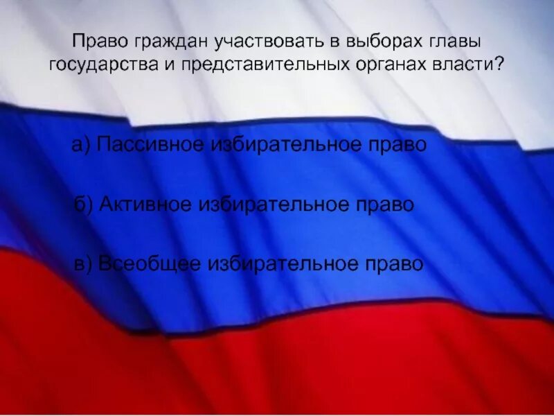Право граждан участвовать в выборах главы государства. Россия в надежных руках. сочинение выборы главы государства.