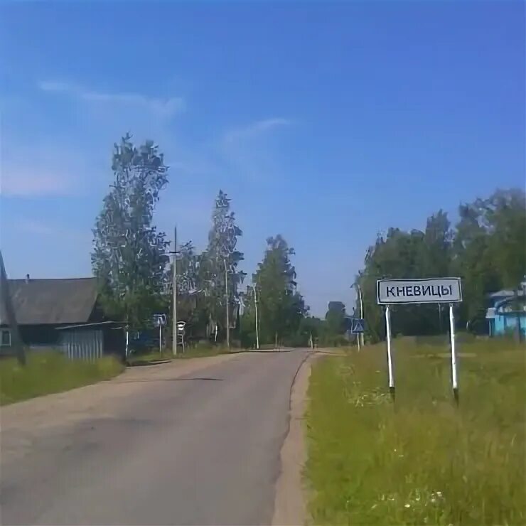 Новгородская обл кневицы. Кневицы новгородская область. деревня кневицы.