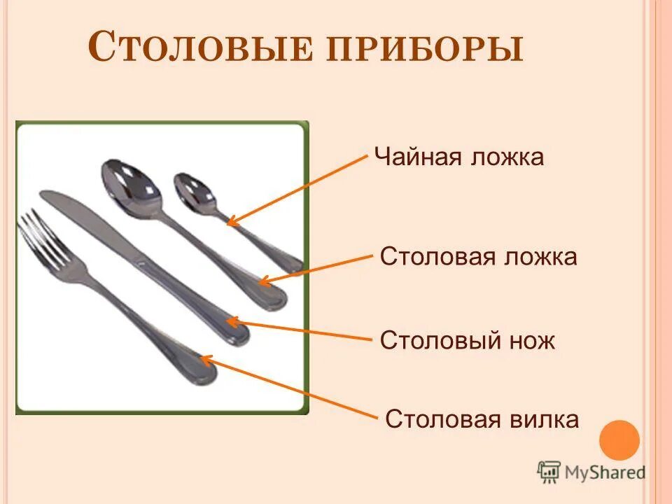 Части ложки столовой. Столовые приборы карточки для детей. Приборы для сервировки стола название. Сервировка столовых приборов ложек вилок. Столовые предметы названия.