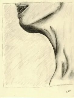 Ключицы рисунок