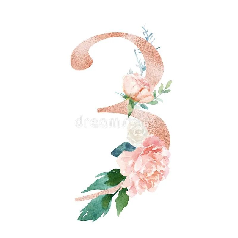 Красивые цветочные цифры. Красивые цифры в цветах. Цифра 3. Цифра 3 акварельная. Цифра 3 цветочная.