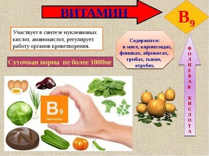 Витамины проект по биологии 8 класс