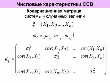 Случайный вектор это