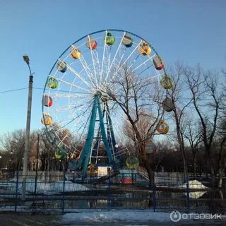 Новокуйбышевск парк дубки