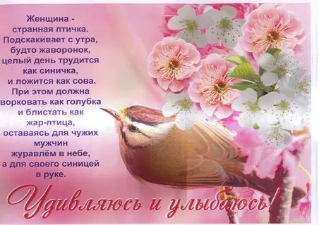 Птица вставай