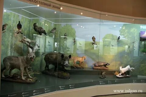 Челябинском краеведческом музее