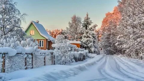 Январский лес сказочно красив