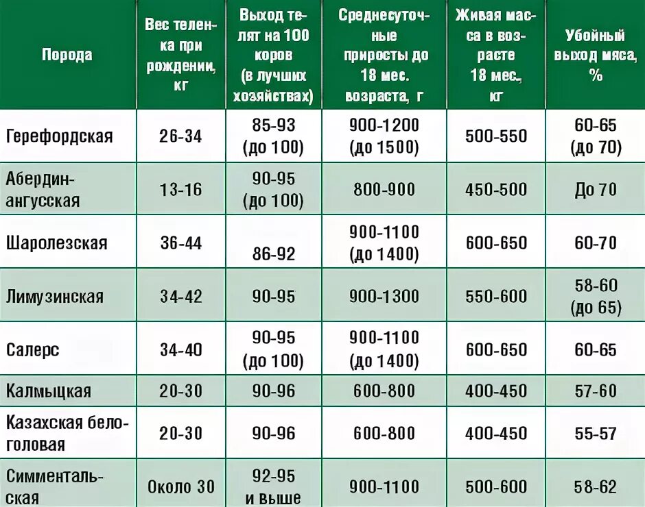 Вес годовалого бычка мясной породы. Средний вес коровы симментальской. Вес Бычков по месяцам таблица. Таблица выхода мясных пород коров.