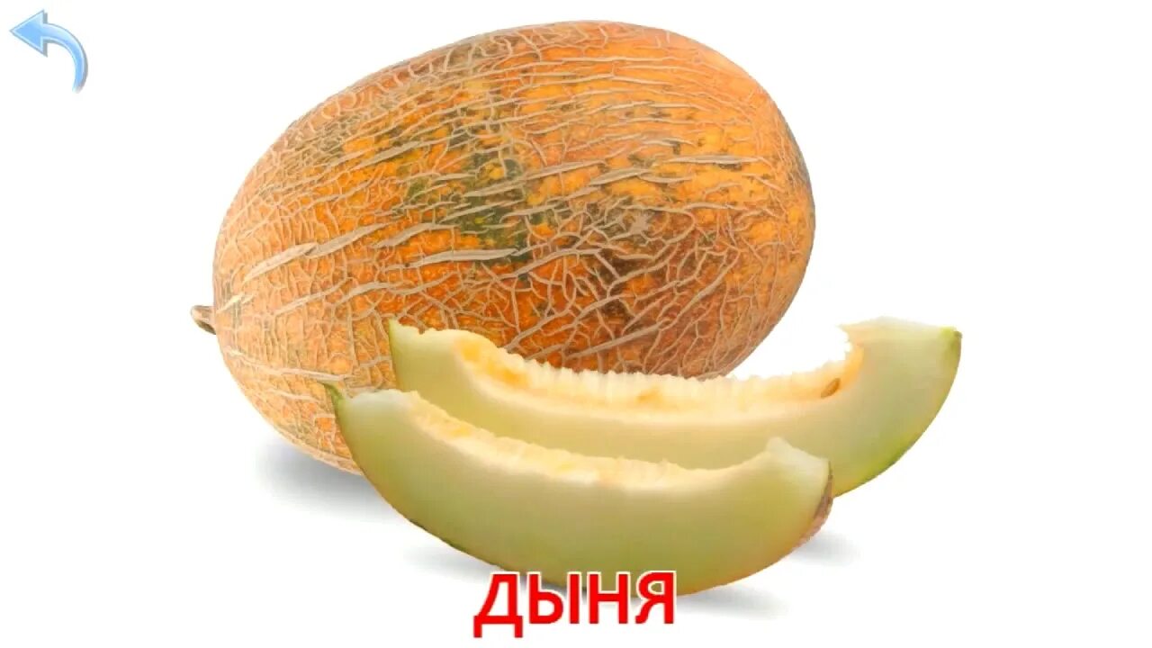 Полезные свойства дыни для организма. Как по английски будет дыня. Как по английски будет дыня. Фрукты на английском с переводом. Пятнистая дыня.