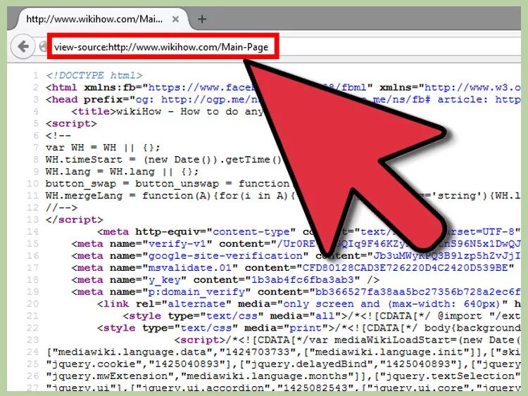 View source. View source url. Что будет view source. Source iphone. View source url.