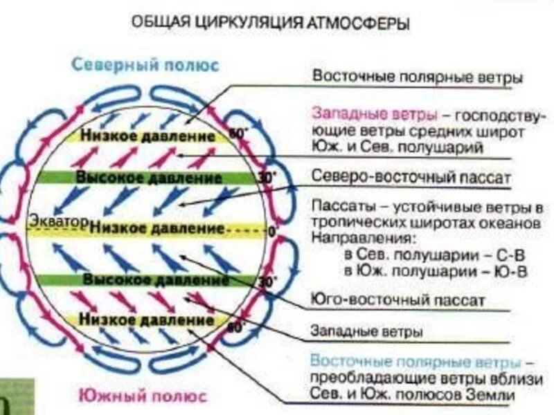 Пассаты южного полушария имеют направление. География 7 класс общая циркуляция атмосферы. Общая циркуляция атмосферы презентация 7 класс Полярная звезда. Общая циркуляция атмосферы 7 класс Полярная звезда. Общая циркуляция атмосферы пассаты.