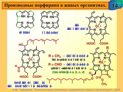 Гема боди