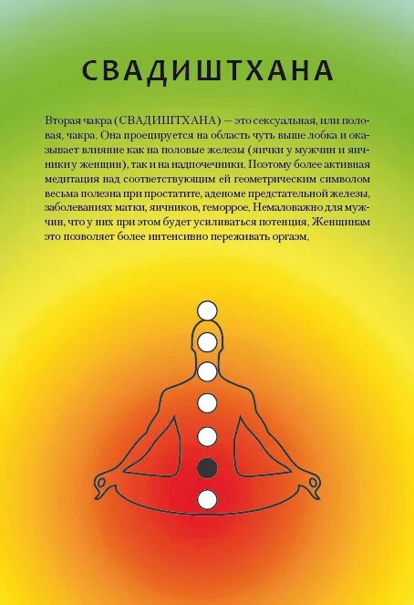 Муладхара чакра расположение. Чакра муладхара - сахасрара. Муладхара чакра. Чакры человека расположение. Чакры человека описание.