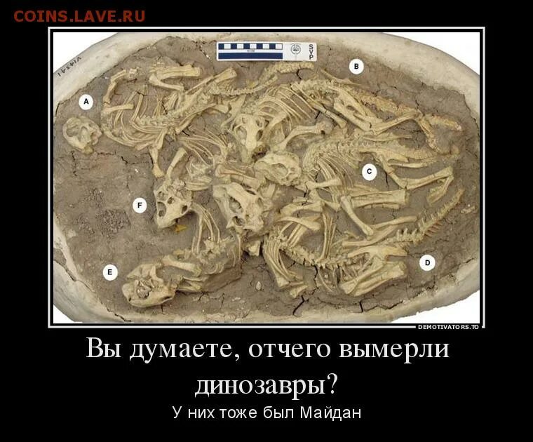 Отчего под. Отчего под