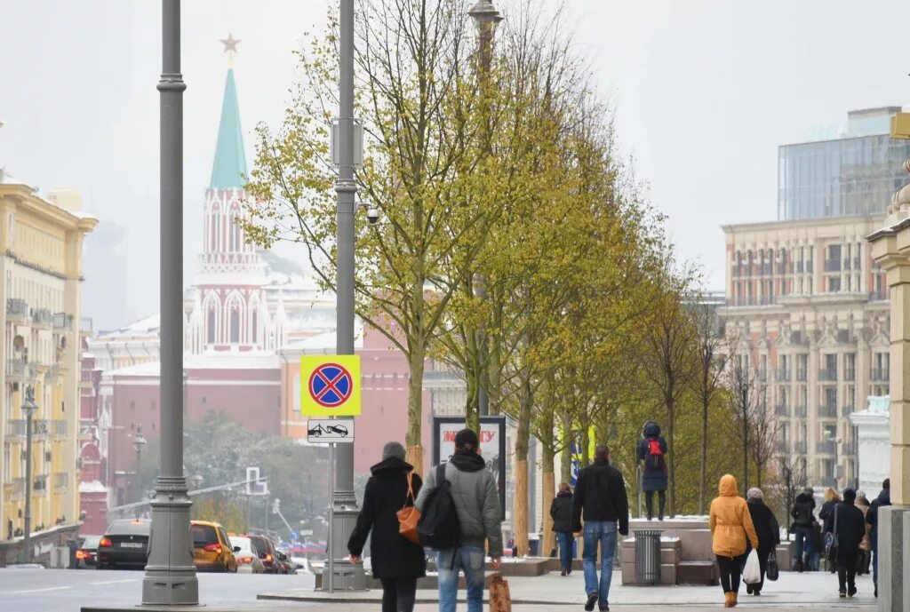 Проект моя улица. Москва тверская озеленение садовое. моя улица москва. тверская улица благоустройство. озеленение улиц москвы.