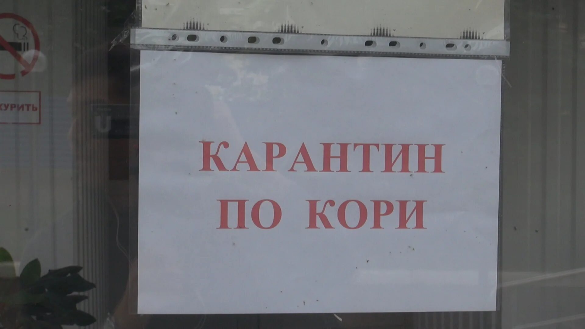 Школу закрыли на корь. Корь карантин. Карантин по кори в детском саду. Карантин для больного корью.