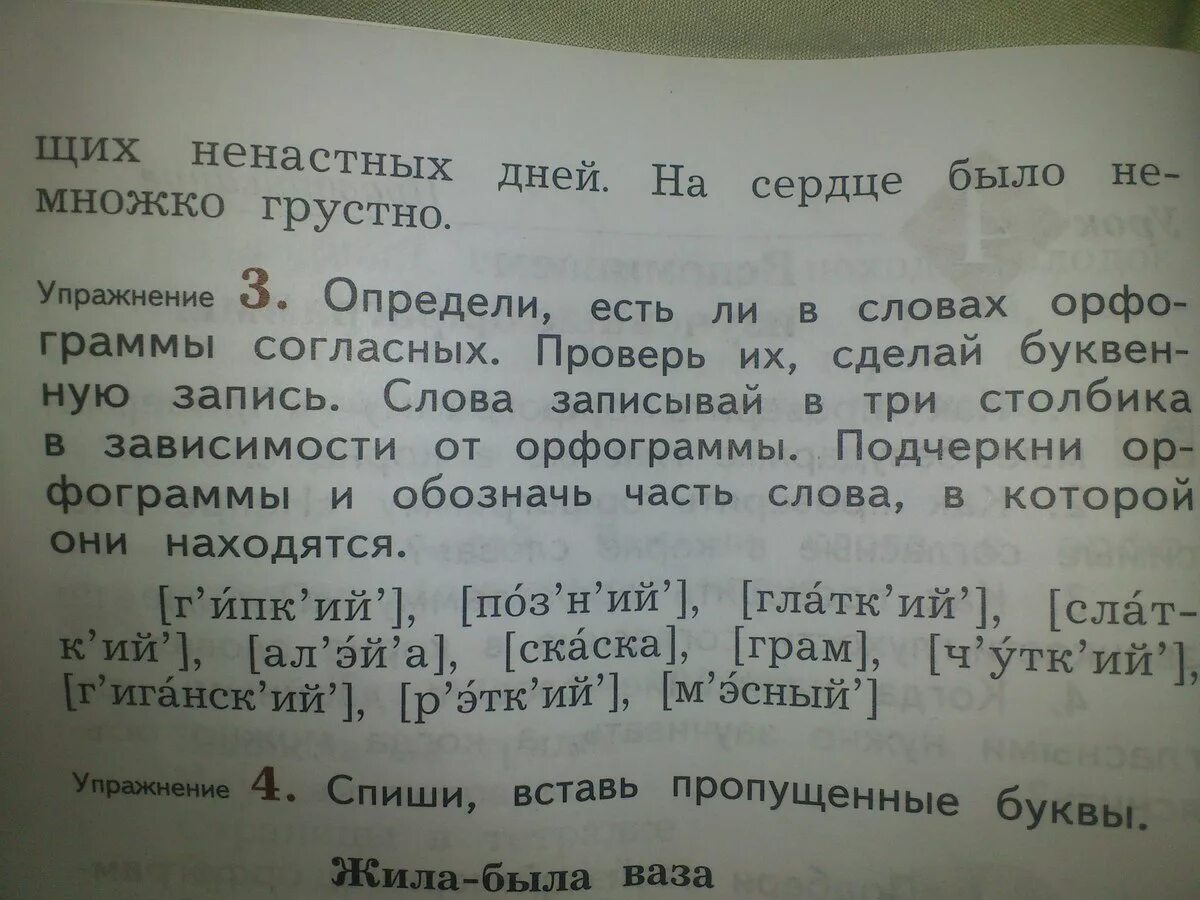 Определи 3. Буквенная запись слова. Определи есть ли в словах орфограммы. Запишите слова в три столбика. Определи есть ли в словах орфограммы согласных проверь.