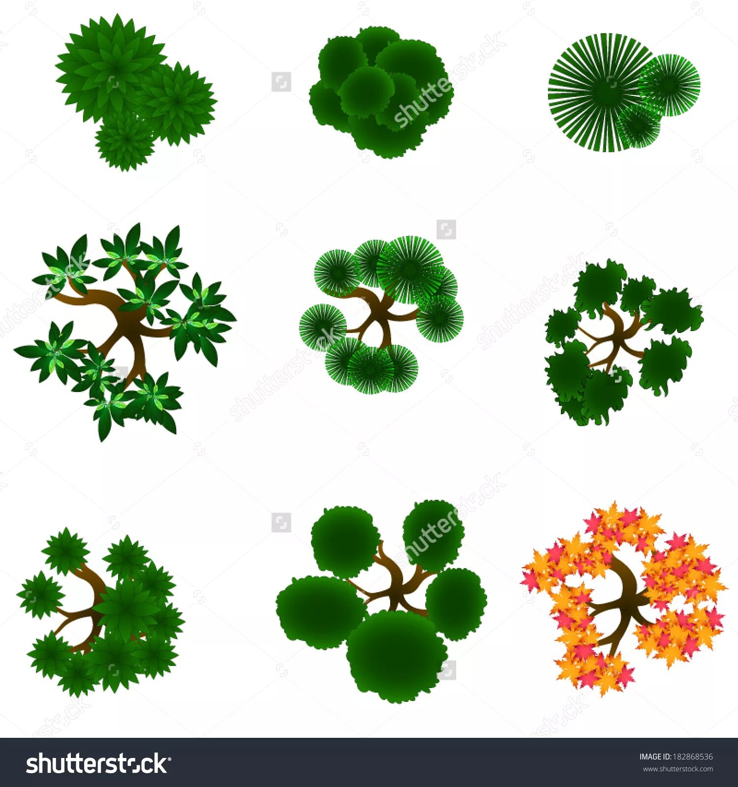 архитектурная графика деревья в плане. условные обозначения хвойных кустарников. условные обозначения хвойных. деревья и растения вид сверху. стаффаж антураж деревья сверху.