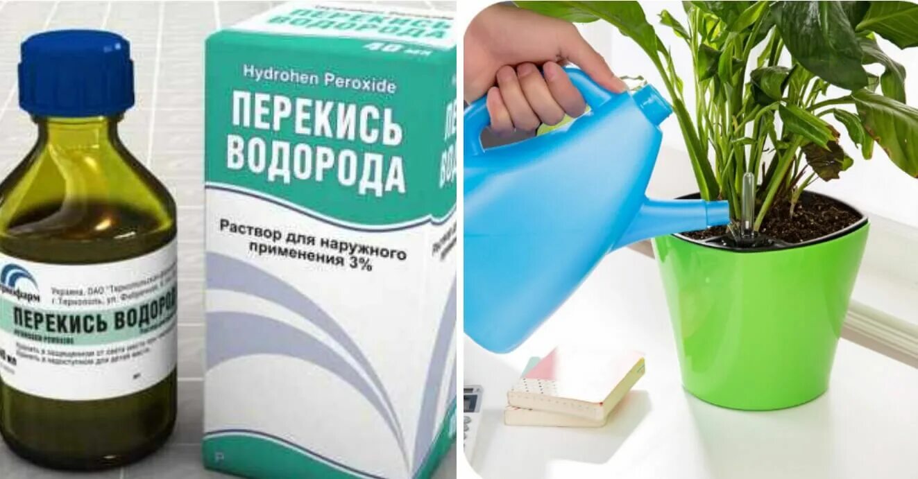 Раствор перекиси водорода для цветов