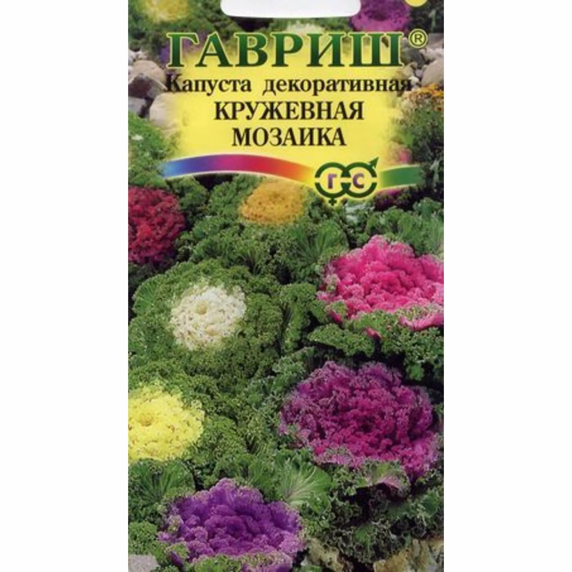 кружево капуста. капуста декоративная (brassica oleracea) nagoya mix. семена капуста декоративная кружевная мозаика гавриш. капуста декоративная кружевное жабо. кружево капуста.