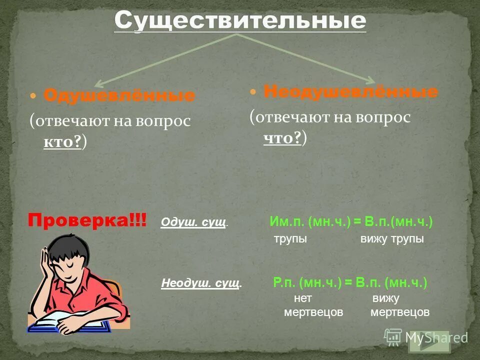 как понять что существительное одушевленное или неодушевленное. имена существительные относятся к. одушевлённые и неодушевлённые имена существительные нарицательные. одушевлённые и неодушевлённые существительные как определить. одушевленное множественное число.