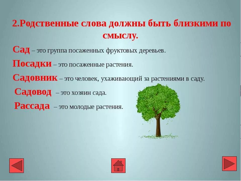 Значение родственные слова