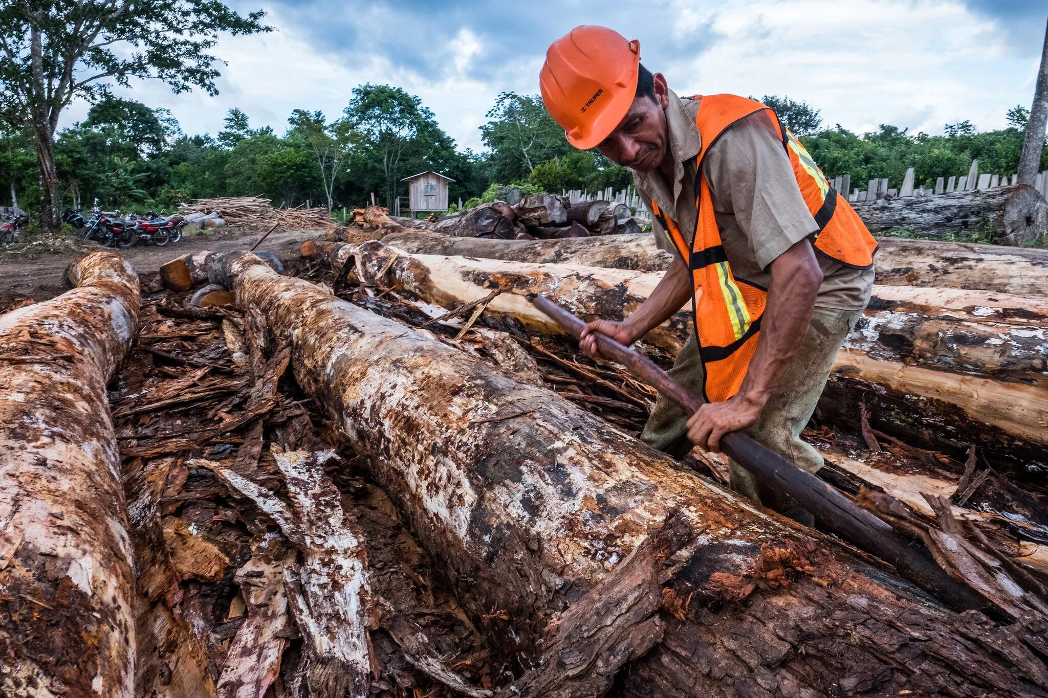 Problems logging. Usaid гватемала. logging causes of deforestation. silvicultura. selective logging.