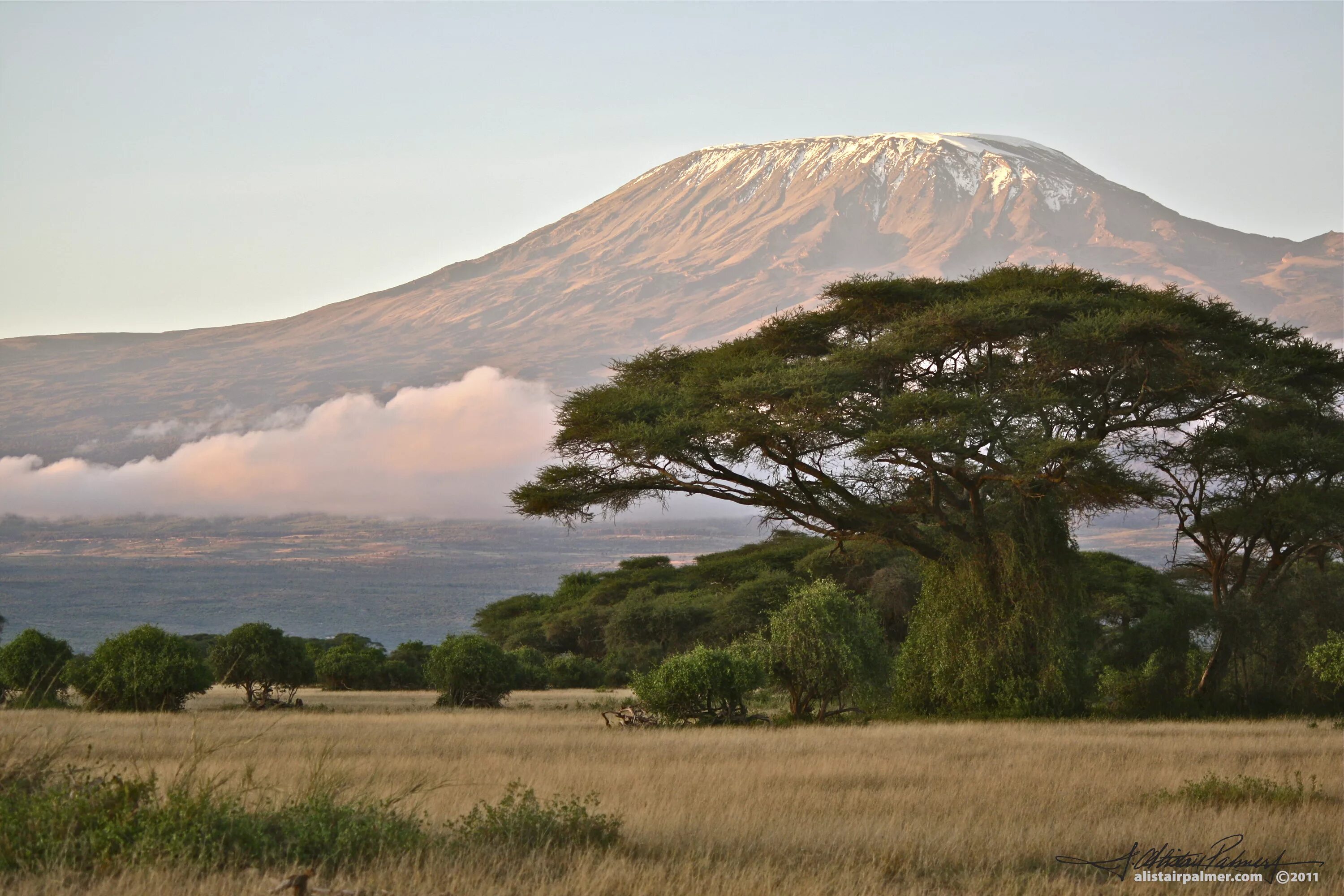 Африка самый высокий. Гора в Африке Килиманджаро. Килиманджаро Танзания. Вулкан Килиманджаро. Танзания гора Килиманджаро.