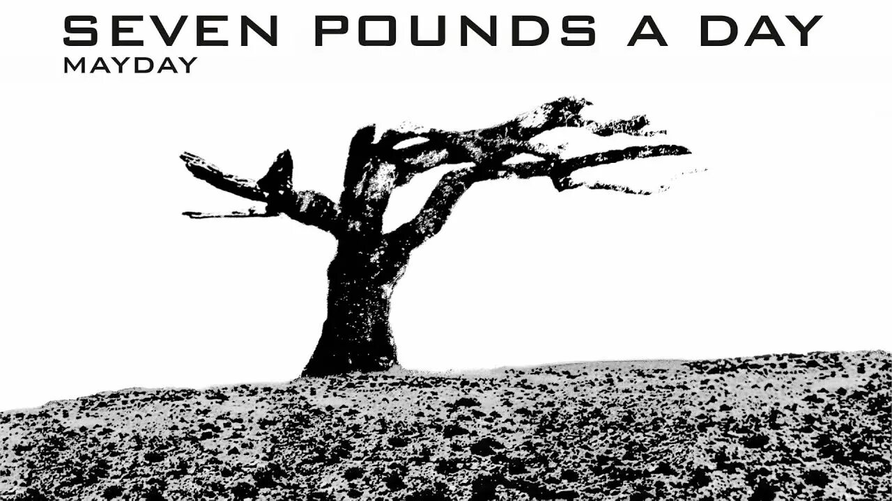 For 3 days we walked. Blind dreams - better days.