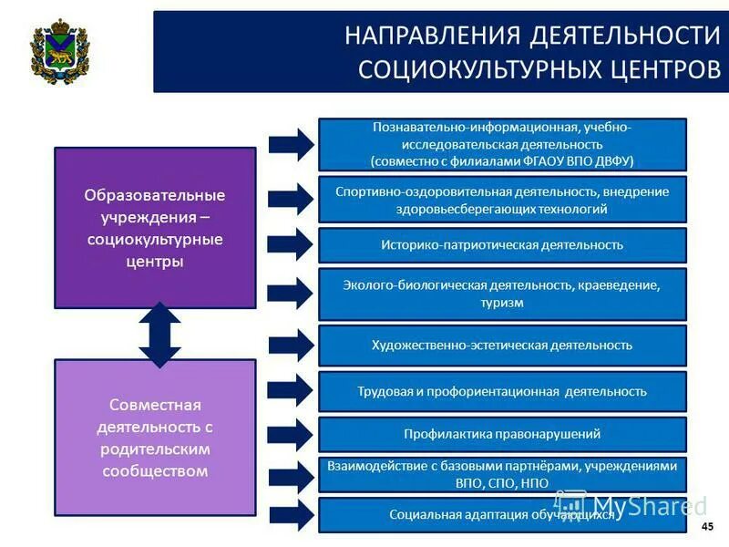 принцип организации социокультурной деятельности. мероприятия социокультурной направленности. социокультурная деятельность направления. скд социально культурная деятельность. функции социально-культурной деятельности.